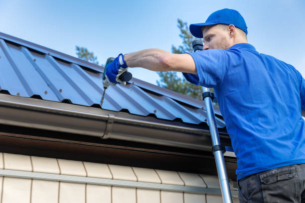 Best Skylight Installation and Repair  in Fairbanks, AK